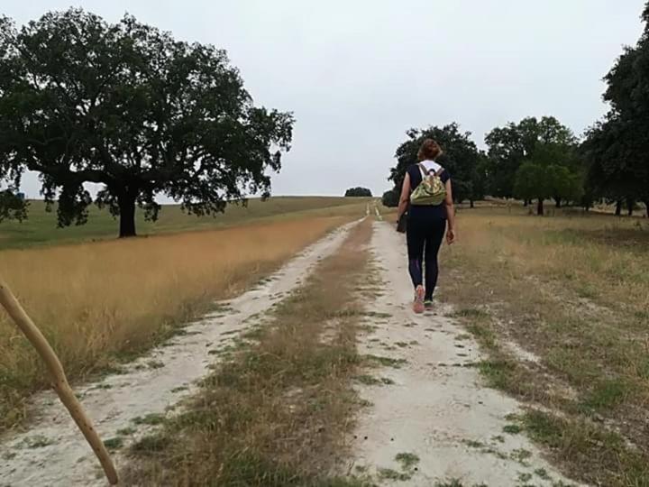 Casas De Romaria Βίλα Brotas Εξωτερικό φωτογραφία